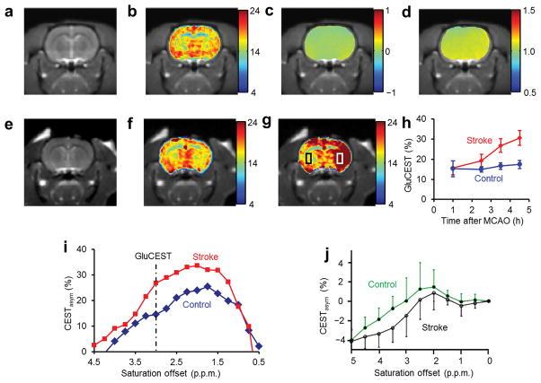 https://cdn.ncbi.nlm.nih.gov/pmc/blobs/f938/3274604/8eab008792e4/nihms315850f3.jpg