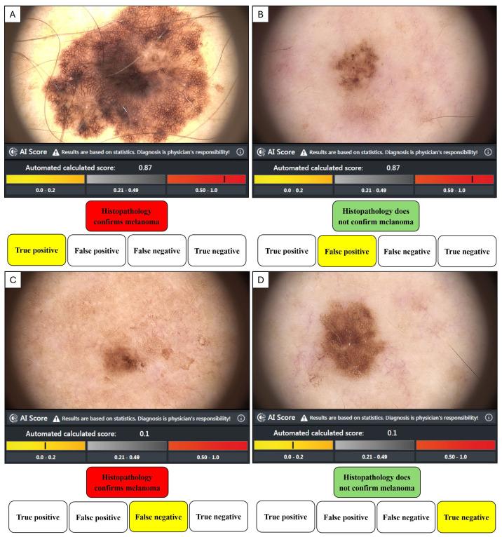https://cdn.ncbi.nlm.nih.gov/pmc/blobs/f939/12399074/8e8c1de08f63/peerj-13-19876-g003.jpg
