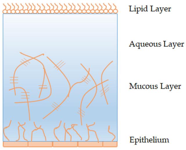 https://cdn.ncbi.nlm.nih.gov/pmc/blobs/f93c/9962975/9e481620b677/pharmaceutics-15-00470-g002.jpg