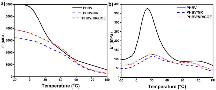 https://cdn.ncbi.nlm.nih.gov/pmc/blobs/f93d/12115077/b0ac7c18c9b1/polymers-17-01324-g007.jpg