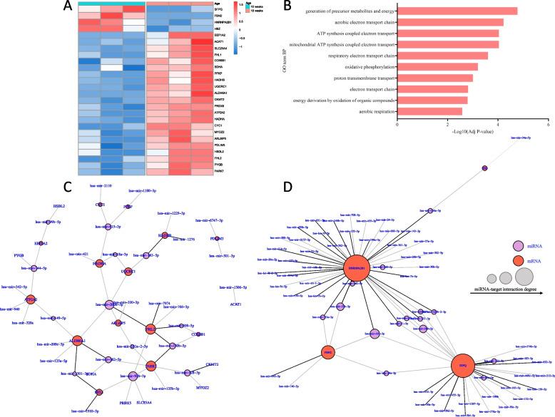 https://cdn.ncbi.nlm.nih.gov/pmc/blobs/f93e/10668469/1562e9a229c9/12864_2023_9801_Fig6_HTML.jpg