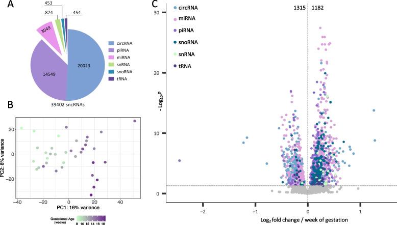 https://cdn.ncbi.nlm.nih.gov/pmc/blobs/f93e/10668469/4f4ecc25998f/12864_2023_9801_Fig1_HTML.jpg