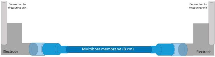 https://cdn.ncbi.nlm.nih.gov/pmc/blobs/f93e/7764170/cd1f43fcc316/membranes-10-00412-g003.jpg