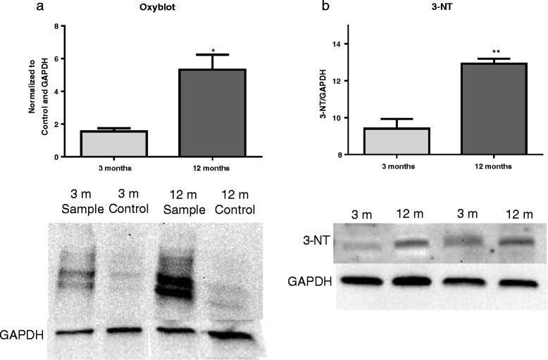 https://cdn.ncbi.nlm.nih.gov/pmc/blobs/f940/5563003/63d786661fa2/12974_2017_933_Fig7_HTML.jpg
