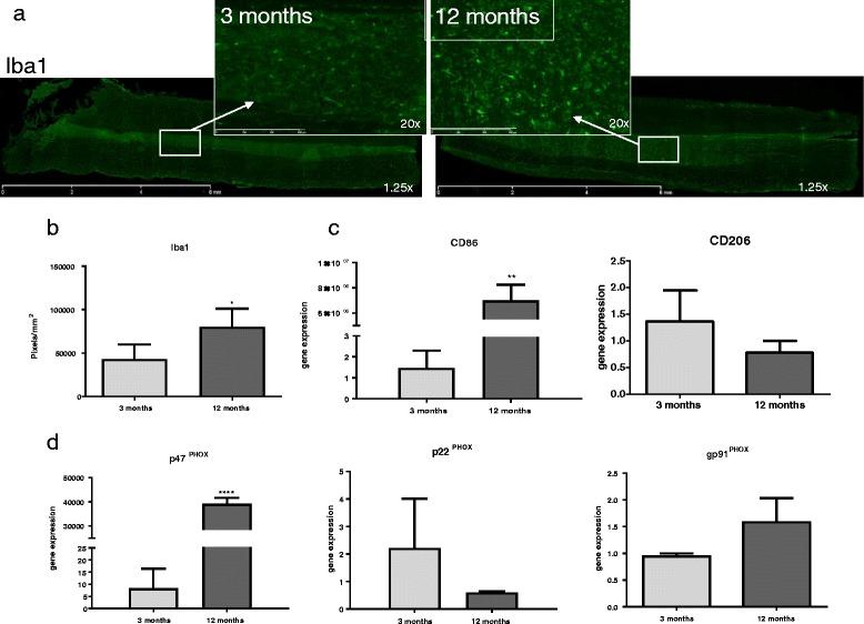 https://cdn.ncbi.nlm.nih.gov/pmc/blobs/f940/5563003/a016e3055306/12974_2017_933_Fig2_HTML.jpg