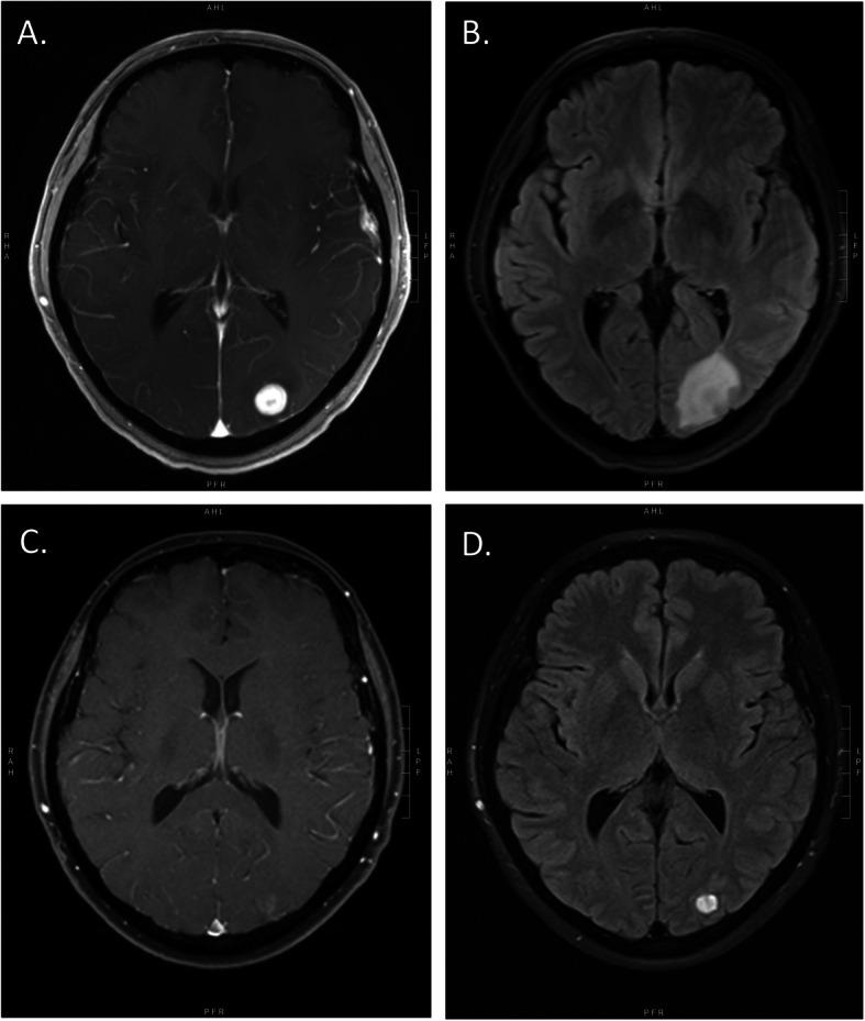 https://cdn.ncbi.nlm.nih.gov/pmc/blobs/f940/7706261/11f09a5bcced/13058_2020_1372_Fig2_HTML.jpg