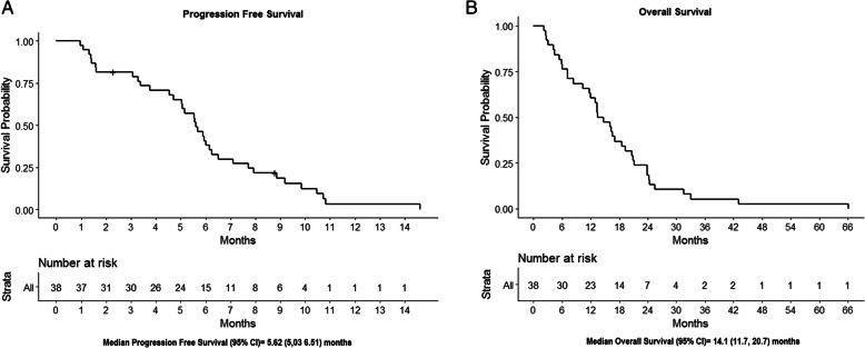 https://cdn.ncbi.nlm.nih.gov/pmc/blobs/f940/7706261/daafef1ab799/13058_2020_1372_Fig1_HTML.jpg
