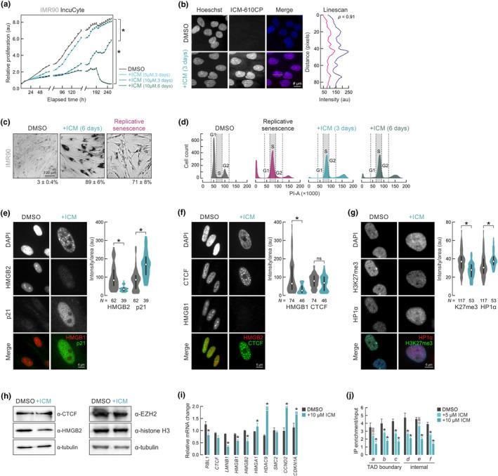 https://cdn.ncbi.nlm.nih.gov/pmc/blobs/f942/11019153/5a61bfa61e05/ACEL-23-e14083-g005.jpg