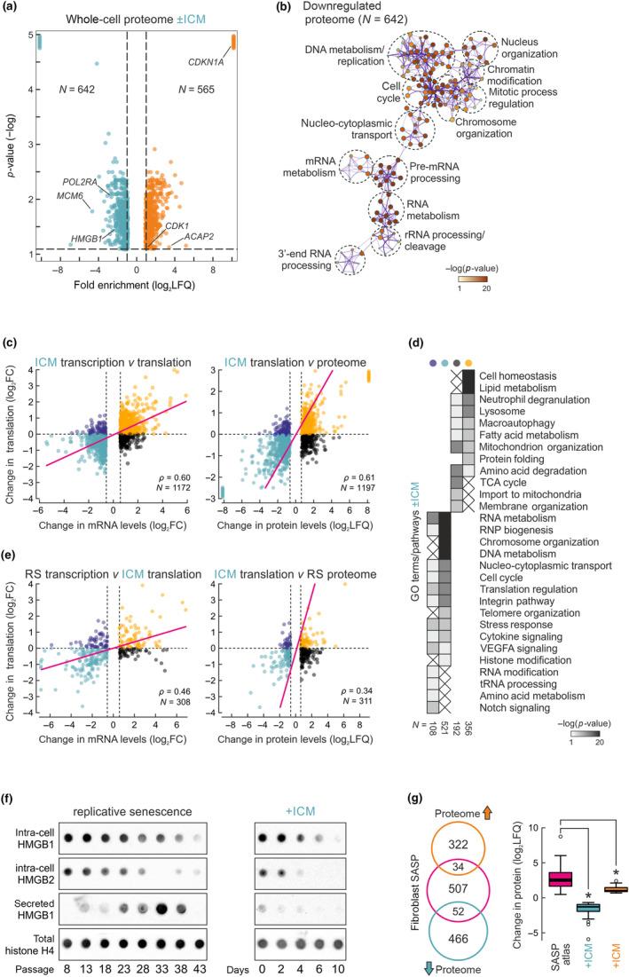 https://cdn.ncbi.nlm.nih.gov/pmc/blobs/f942/11019153/e7fe9768ae9f/ACEL-23-e14083-g004.jpg