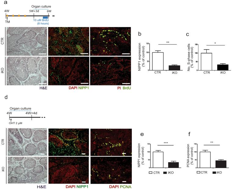 https://cdn.ncbi.nlm.nih.gov/pmc/blobs/f942/5645368/b69abc89d734/41598_2017_13809_Fig4_HTML.jpg