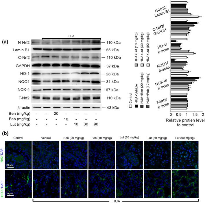 https://cdn.ncbi.nlm.nih.gov/pmc/blobs/f944/11521689/15e91e3a95d0/FSN3-12-8053-g003.jpg