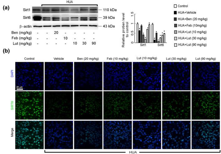 https://cdn.ncbi.nlm.nih.gov/pmc/blobs/f944/11521689/905f30b2daa5/FSN3-12-8053-g005.jpg