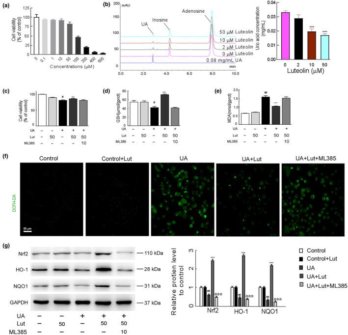 https://cdn.ncbi.nlm.nih.gov/pmc/blobs/f944/11521689/907f6dff01b2/FSN3-12-8053-g006.jpg