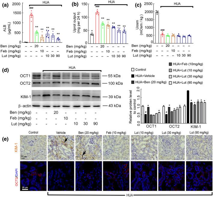 https://cdn.ncbi.nlm.nih.gov/pmc/blobs/f944/11521689/e02a837f48dc/FSN3-12-8053-g008.jpg