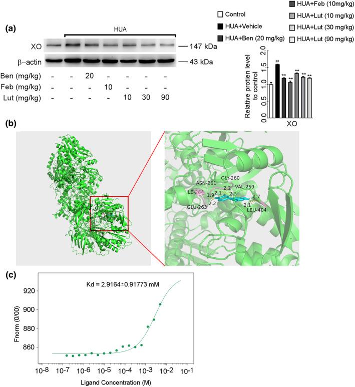 https://cdn.ncbi.nlm.nih.gov/pmc/blobs/f944/11521689/f35b167231c8/FSN3-12-8053-g002.jpg
