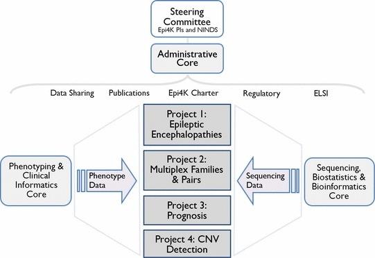 https://cdn.ncbi.nlm.nih.gov/pmc/blobs/f944/3443382/a3121f9218f5/epi0053-1457-f1.jpg