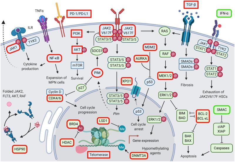 https://cdn.ncbi.nlm.nih.gov/pmc/blobs/f944/7773330/7ae08792ee79/hs9-5-e516-g002.jpg
