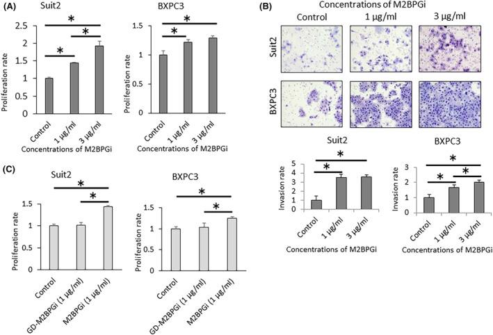 https://cdn.ncbi.nlm.nih.gov/pmc/blobs/f945/11007056/c11ef83c15d4/CAS-115-1241-g001.jpg