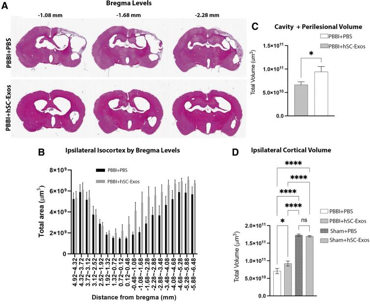 https://cdn.ncbi.nlm.nih.gov/pmc/blobs/f945/11631803/3b933fb87419/neu.2023.0650_figure3.jpg