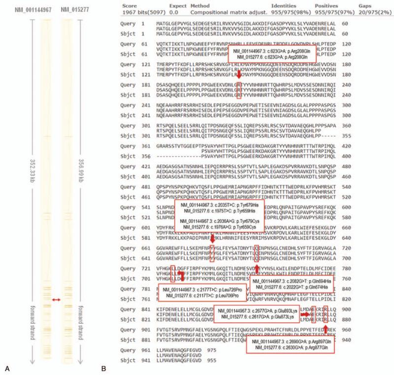https://cdn.ncbi.nlm.nih.gov/pmc/blobs/f946/8183750/196dc06f0b22/medi-100-e26136-g002.jpg
