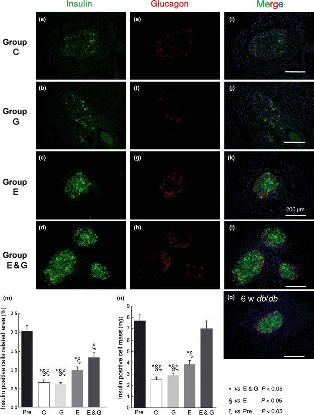 https://cdn.ncbi.nlm.nih.gov/pmc/blobs/f948/4020718/f849840c8e0f/jdi-1-172-g1.jpg