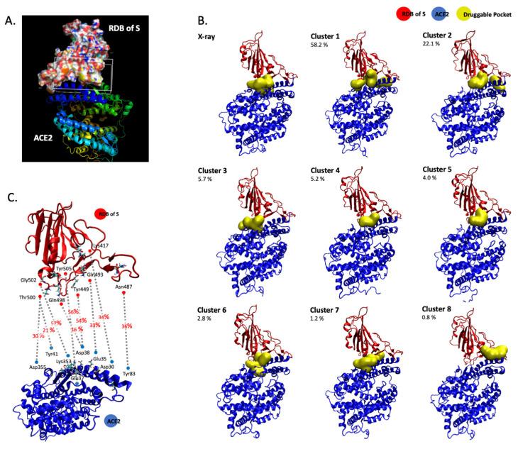 https://cdn.ncbi.nlm.nih.gov/pmc/blobs/f949/7996581/8839741d0235/viruses-13-00365-g001.jpg