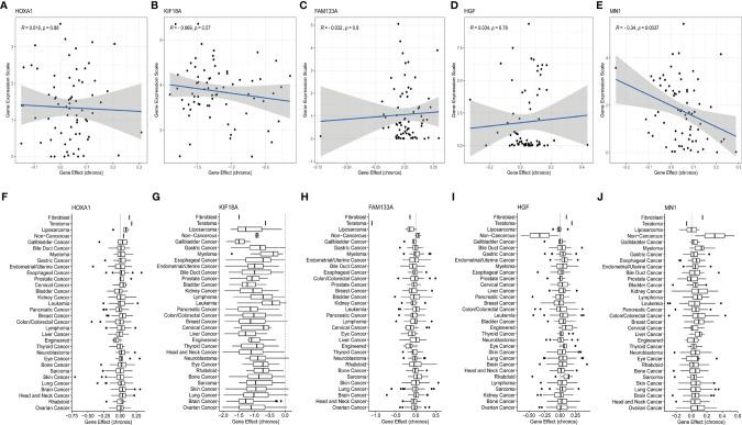 https://cdn.ncbi.nlm.nih.gov/pmc/blobs/f94a/9168984/6fda6a2213f8/fimmu-13-899710-g008.jpg