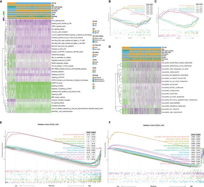 https://cdn.ncbi.nlm.nih.gov/pmc/blobs/f94a/9168984/e5d390fb85cb/fimmu-13-899710-g004.jpg