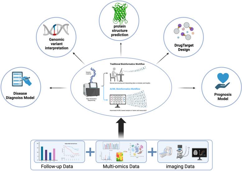 https://cdn.ncbi.nlm.nih.gov/pmc/blobs/f94e/11523907/40693403e387/40364_2024_673_Fig4_HTML.jpg