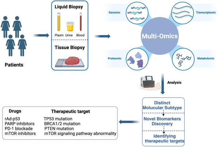https://cdn.ncbi.nlm.nih.gov/pmc/blobs/f94e/11523907/b8133c50b12d/40364_2024_673_Fig3_HTML.jpg
