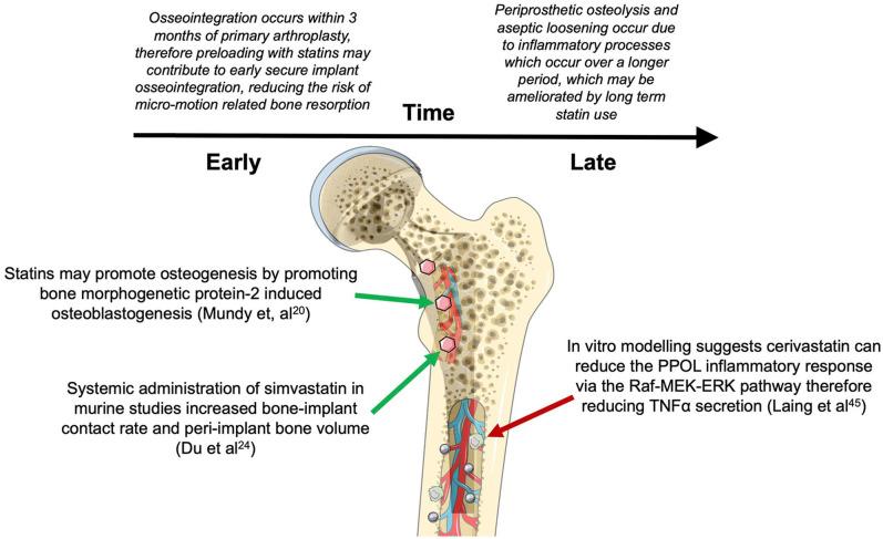 https://cdn.ncbi.nlm.nih.gov/pmc/blobs/f94f/7747105/12b9057388c4/10.1177_1759720X20966229-fig1.jpg