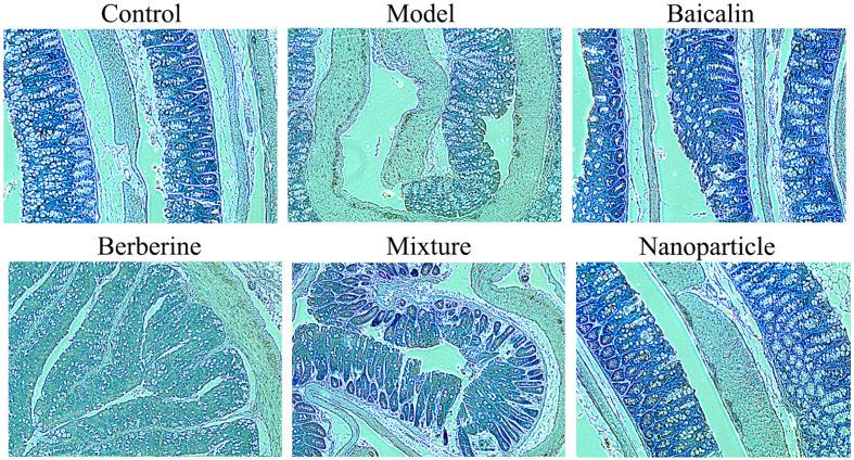 https://cdn.ncbi.nlm.nih.gov/pmc/blobs/f950/7490548/6313a5d6b57d/fphar-11-01210-g004.jpg