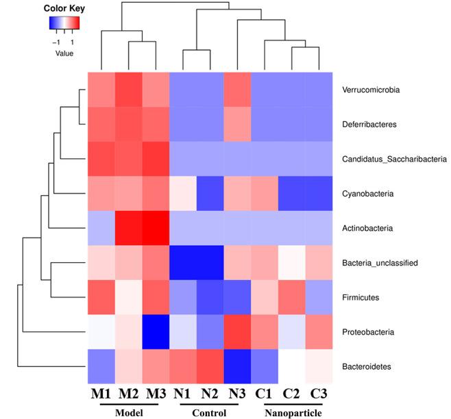 https://cdn.ncbi.nlm.nih.gov/pmc/blobs/f950/7490548/9ccad766cfef/fphar-11-01210-g006.jpg