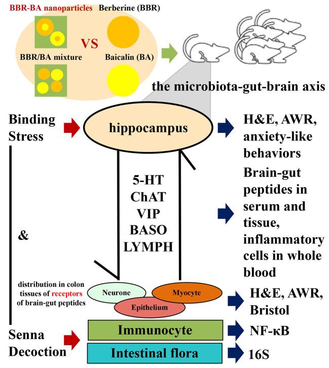 https://cdn.ncbi.nlm.nih.gov/pmc/blobs/f950/7490548/a53773554ae9/fphar-11-01210-g007.jpg