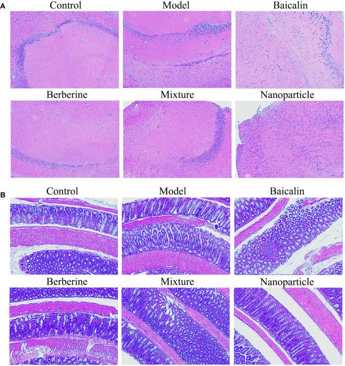 https://cdn.ncbi.nlm.nih.gov/pmc/blobs/f950/7490548/a63ccf0b61ba/fphar-11-01210-g002.jpg
