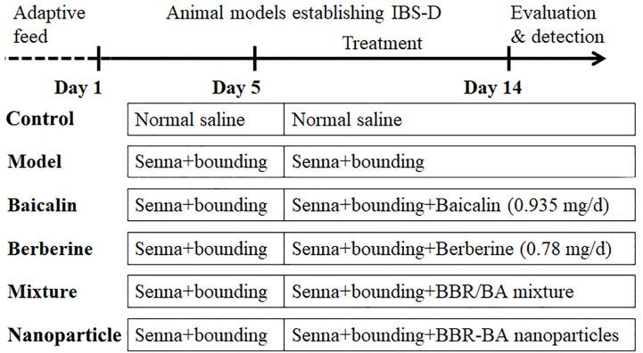https://cdn.ncbi.nlm.nih.gov/pmc/blobs/f950/7490548/fc20fc59a964/fphar-11-01210-g001.jpg
