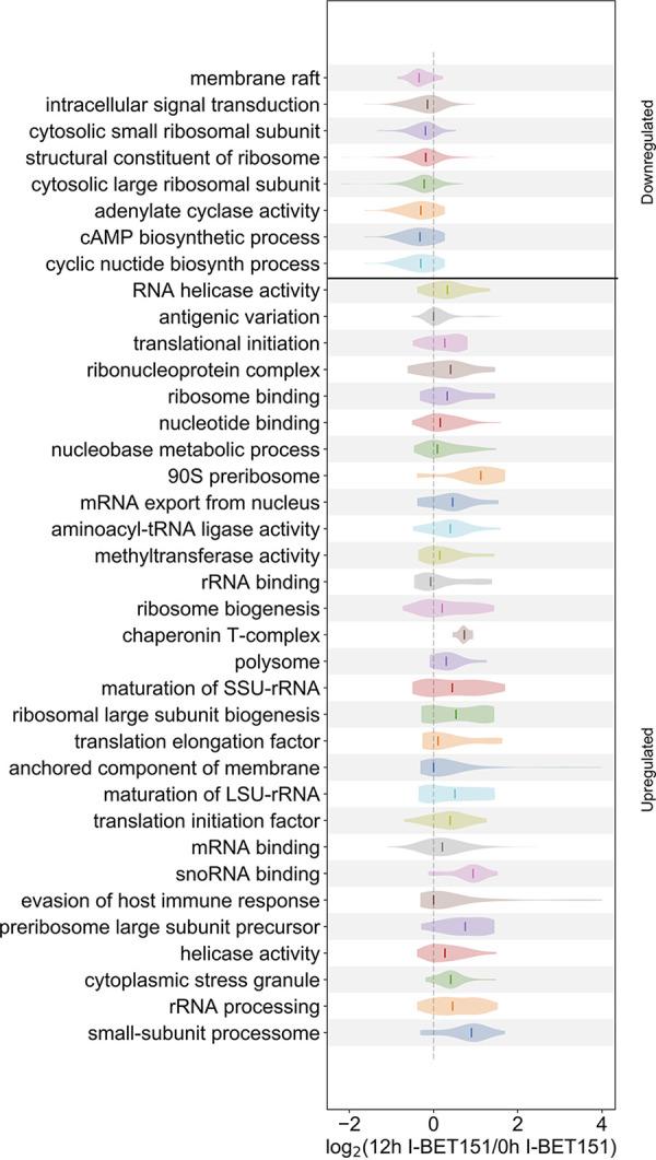 https://cdn.ncbi.nlm.nih.gov/pmc/blobs/f951/10269879/0c1af4152215/spectrum.00147-23-f007.jpg