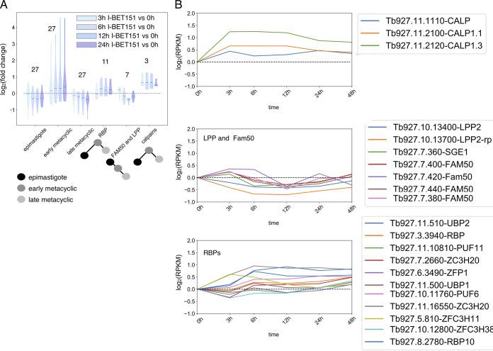https://cdn.ncbi.nlm.nih.gov/pmc/blobs/f951/10269879/6de7f3ffe044/spectrum.00147-23-f004.jpg