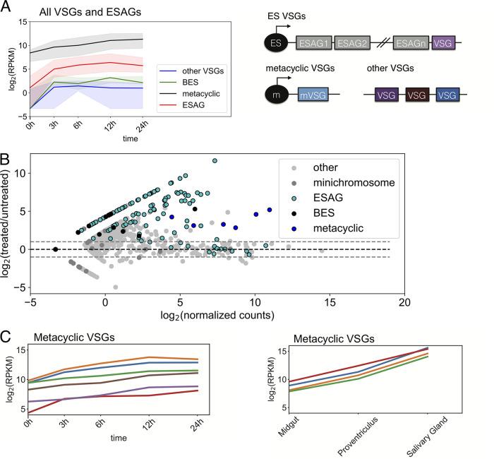 https://cdn.ncbi.nlm.nih.gov/pmc/blobs/f951/10269879/cee9e187f791/spectrum.00147-23-f002.jpg