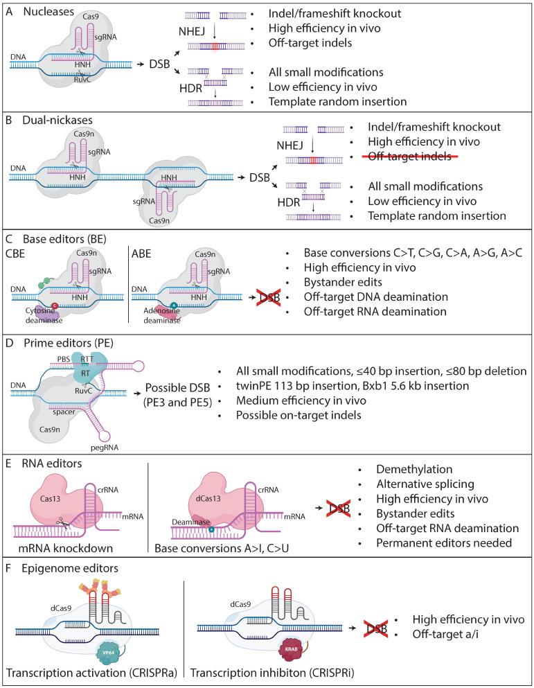 https://cdn.ncbi.nlm.nih.gov/pmc/blobs/f952/11119904/ef71458ecada/cimb-46-00255-g001.jpg