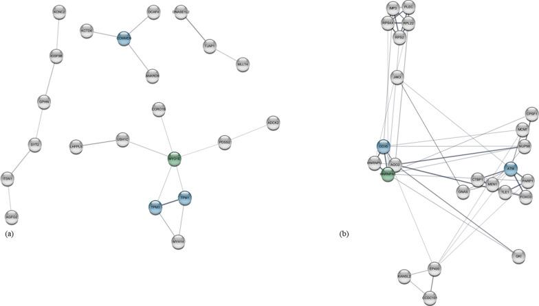 https://cdn.ncbi.nlm.nih.gov/pmc/blobs/f956/11348607/7de7bf68d74a/13148_2024_1727_Fig2_HTML.jpg