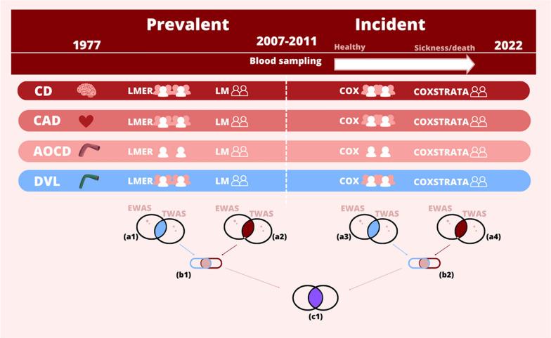 https://cdn.ncbi.nlm.nih.gov/pmc/blobs/f956/11348607/cbddd6f2ba6a/13148_2024_1727_Fig1_HTML.jpg