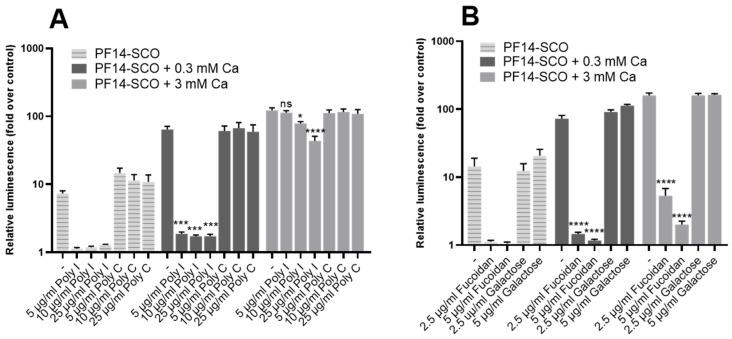 https://cdn.ncbi.nlm.nih.gov/pmc/blobs/f957/8870069/23eaa1f5edef/cells-11-00756-g008.jpg