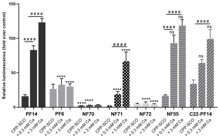 https://cdn.ncbi.nlm.nih.gov/pmc/blobs/f957/8870069/372efe637bfc/cells-11-00756-g006.jpg