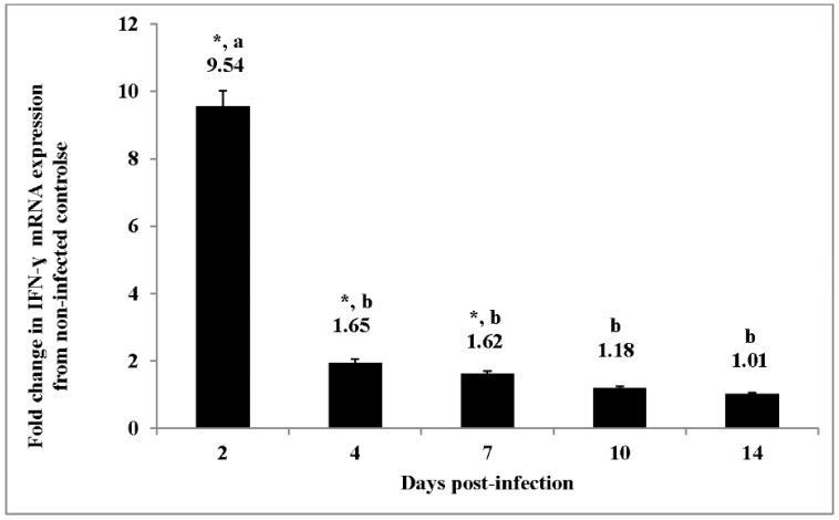 https://cdn.ncbi.nlm.nih.gov/pmc/blobs/f959/5000605/8a91541603f6/ijms-17-01207-g001.jpg