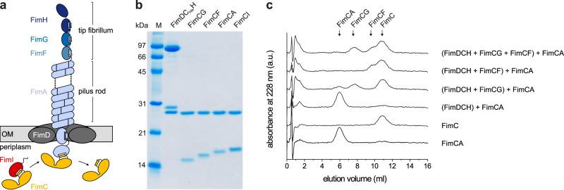 https://cdn.ncbi.nlm.nih.gov/pmc/blobs/f95b/10673952/9e443c17df13/41467_2023_43449_Fig1_HTML.jpg