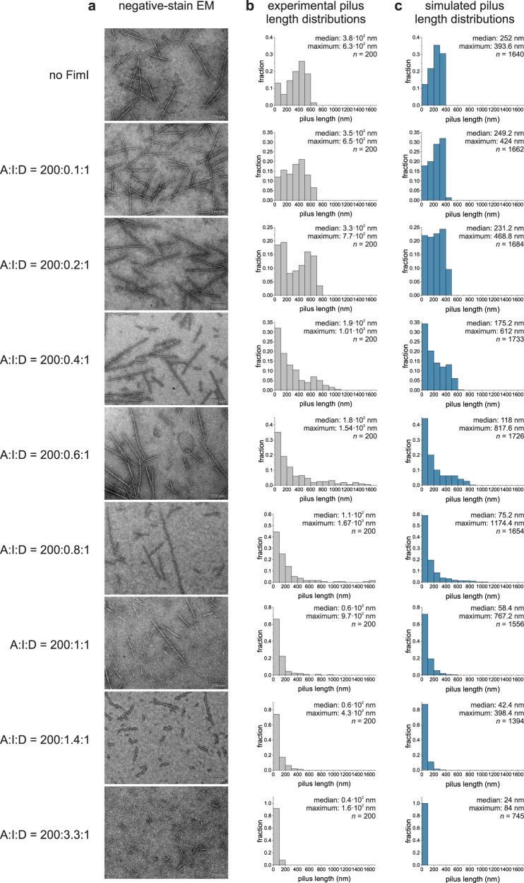 https://cdn.ncbi.nlm.nih.gov/pmc/blobs/f95b/10673952/ec18919ea732/41467_2023_43449_Fig3_HTML.jpg