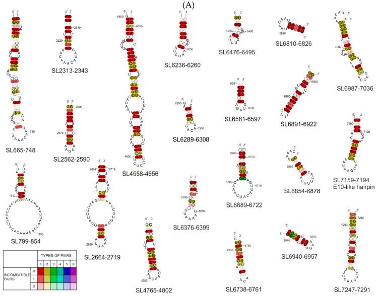 https://cdn.ncbi.nlm.nih.gov/pmc/blobs/f95b/7692623/22421df7bbbe/viruses-12-01232-g004a.jpg