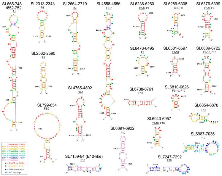 https://cdn.ncbi.nlm.nih.gov/pmc/blobs/f95b/7692623/560405141a35/viruses-12-01232-g002.jpg