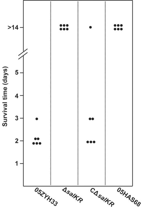 https://cdn.ncbi.nlm.nih.gov/pmc/blobs/f95d/2358977/18042cb01880/pone.0002080.g005.jpg